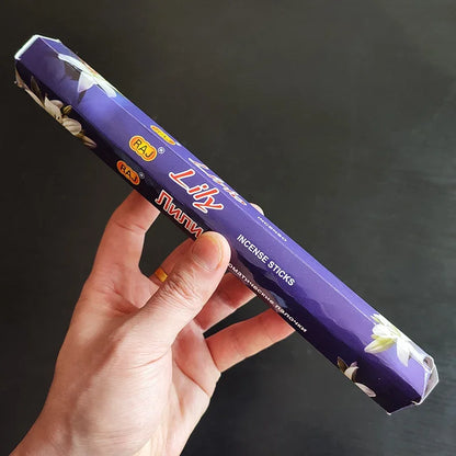 20-Piece Aromatherapy Incense Sticks