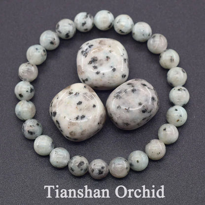 Natural Lapis Lazuli Beaded Elastic Bracelet