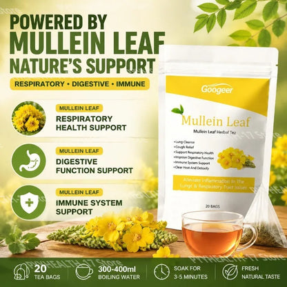 Mullein Leaf Herbal Tea – 20 Bags