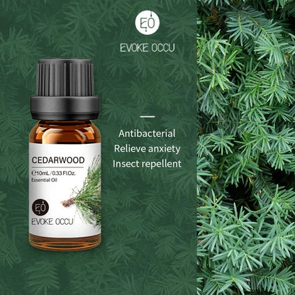 10ml Natural Essential Oil
