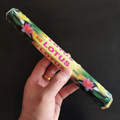 20-Piece Aromatherapy Incense Sticks